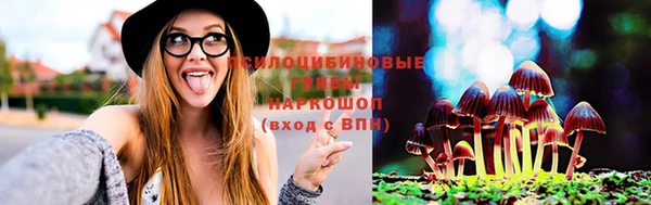 ALPHA PVP Алзамай