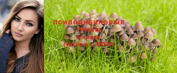 ALPHA PVP Алзамай