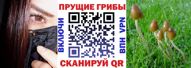 Галлюциногенные грибы GOLDEN TEACHER  где найти наркотики  Сыктывкар 